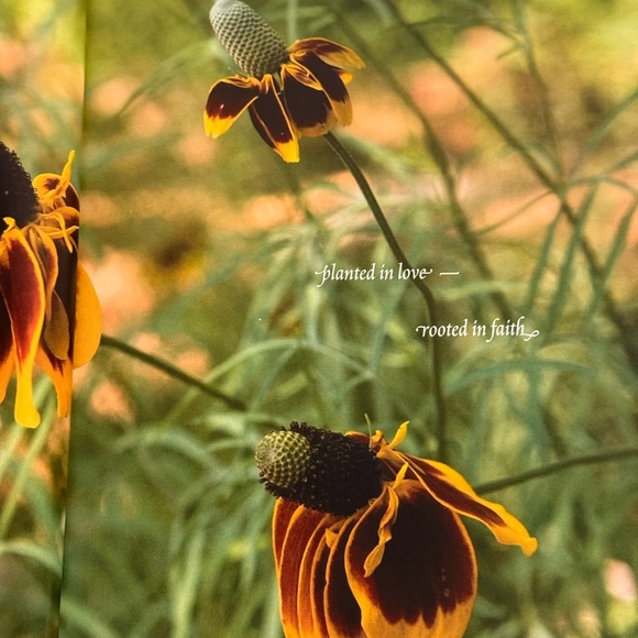 THE SEDONA GARDENS of ST. JOHN VIANNEY by REV. J C ORTIZ 2007 VG+ 'FLAT SIGNED' - Picture 3 of 9